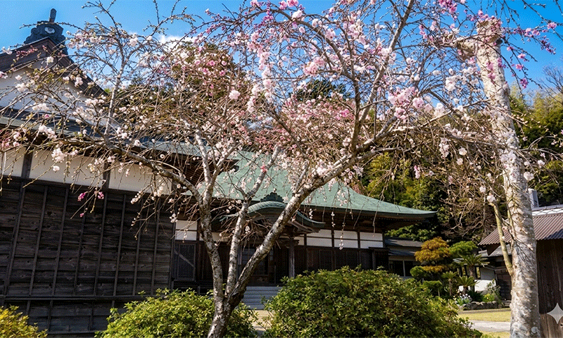 境内の風景（仮）1